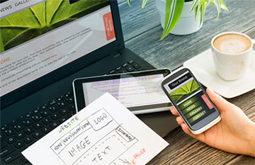 Web Design